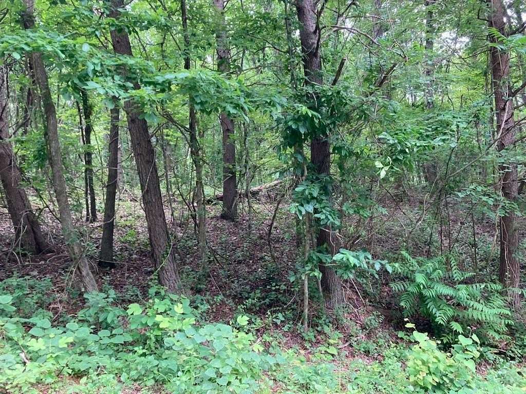 1.12 Acres of Residential Land for Sale in Cookeville, Tennessee
