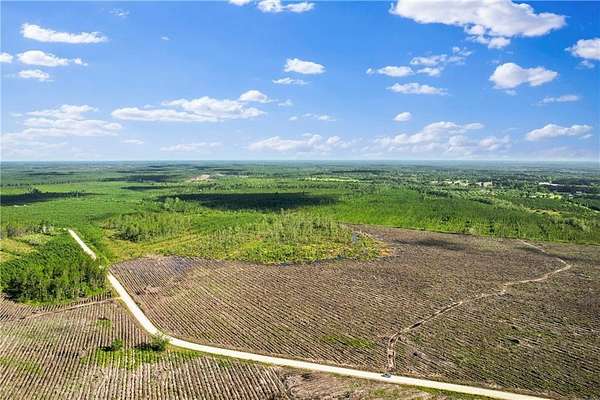 30 Acres of Land for Sale in Odum, Georgia