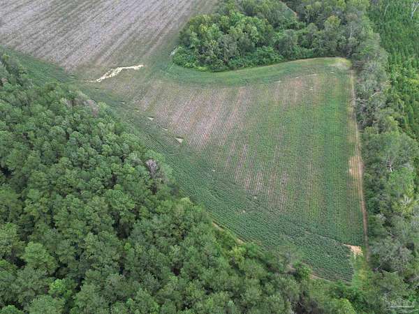 33.3 Acres of Agricultural Land for Sale in Jay, Florida