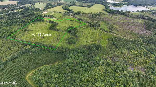42 Acres of Agricultural Land for Sale in Graceville, Florida