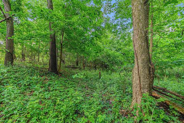 0.97 Acres of Land for Sale in Springfield, Michigan