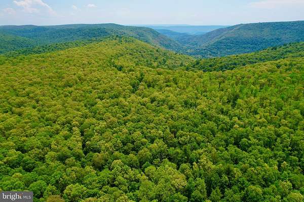 20.1 Acres of Recreational Land for Sale in Beech Creek, Pennsylvania