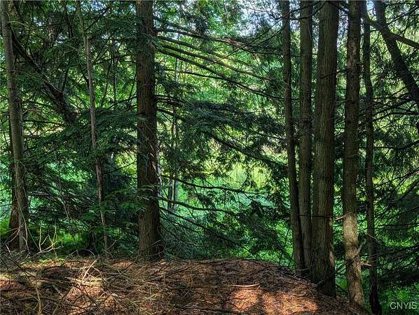 0.44 Acres of Residential Land for Sale in Theresa, New York