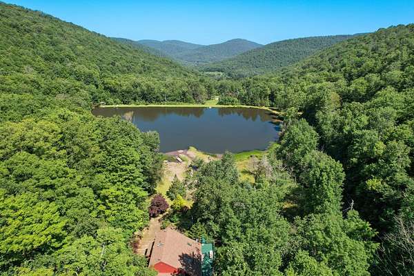 13.3 Acres of Land with Home for Sale in Roscoe, New York