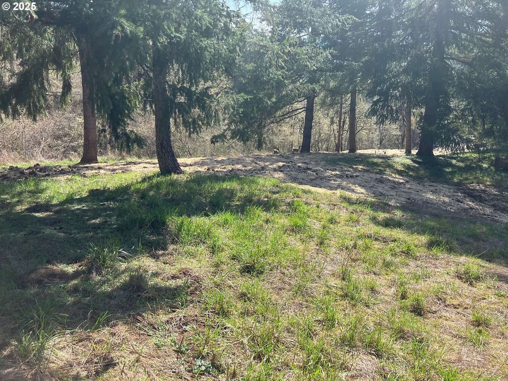 0.74 Acres of Residential Land for Sale in Sheridan, Oregon