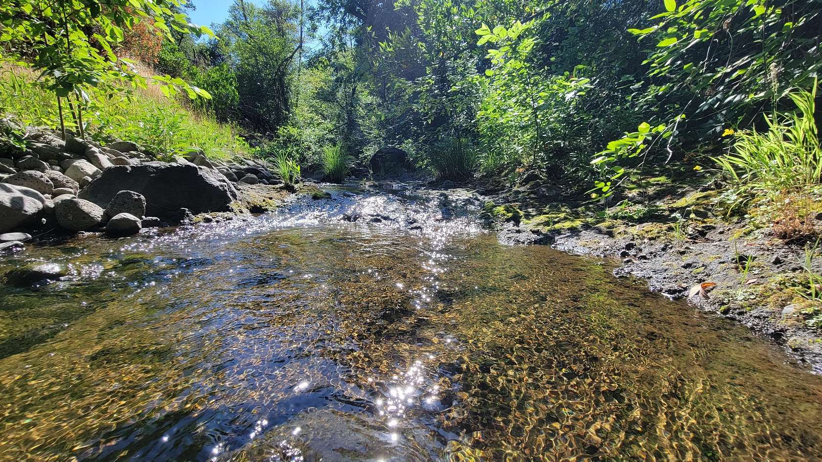 10.2 Acres of Land for Sale in Shingletown, California