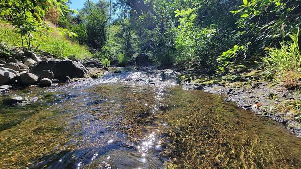 10.2 Acres of Land for Sale in Shingletown, California