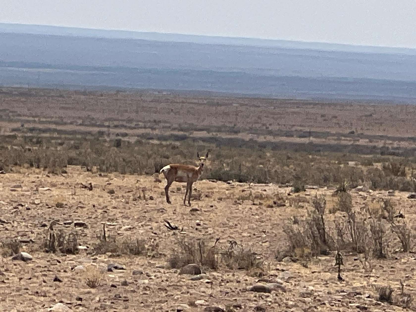 22 Acres of Recreational Land for Sale in San Antonio, New Mexico