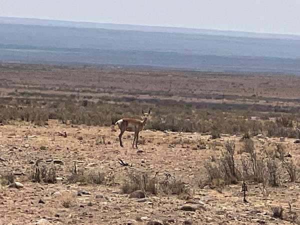 22 Acres of Recreational Land for Sale in San Antonio, New Mexico