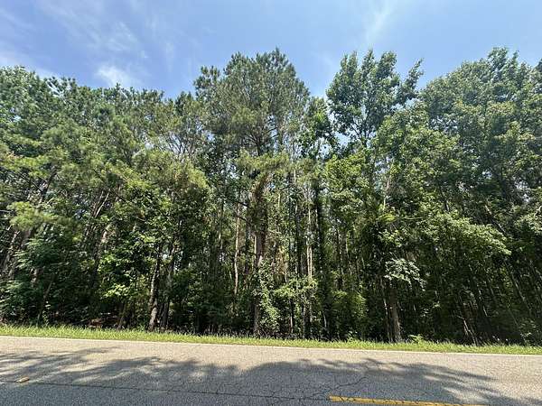 6.65 Acres of Residential Land for Sale in Appling, Georgia