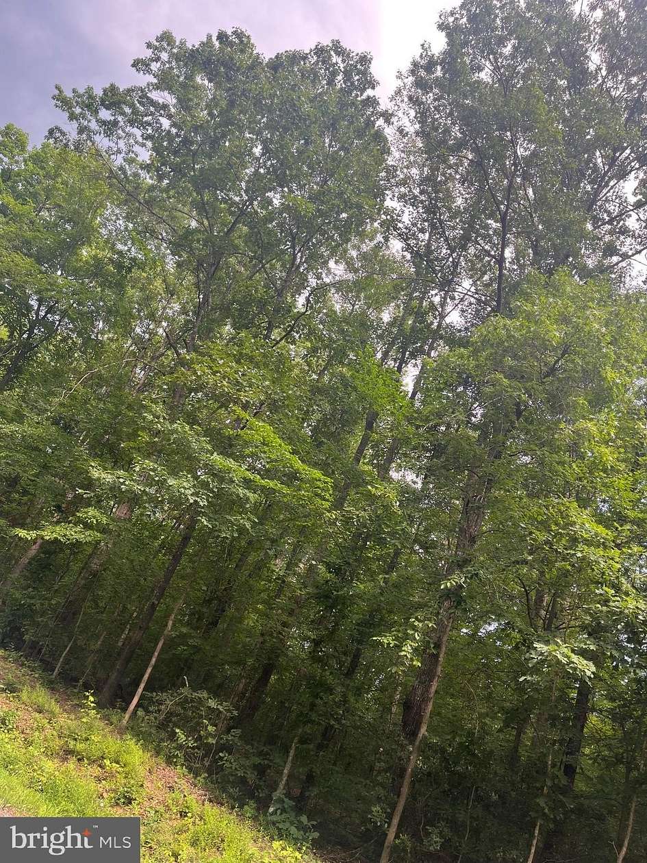 5.32 Acres of Land for Sale in Locust Dale, Virginia