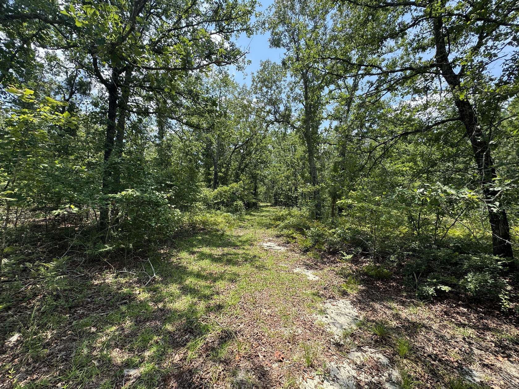 17 Acres of Recreational & Residential Land for Sale in Windsor, South Carolina