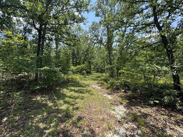 17 Acres of Recreational & Residential Land for Sale in Windsor, South Carolina