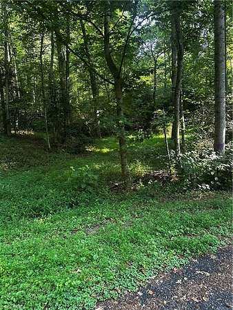 15.9 Acres of Land for Auction in Millers Creek, North Carolina