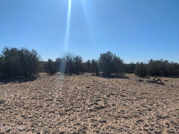 38.5 Acres of Land for Sale in St. Johns, Arizona