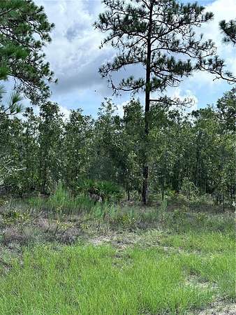 0.5 Acres of Residential Land for Sale in Weeki Wachee, Florida