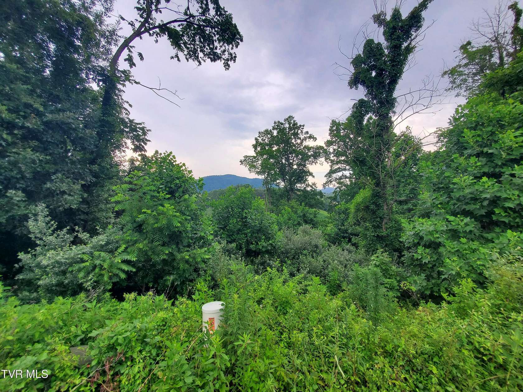 2 Acres of Residential Land for Sale in Butler, Tennessee