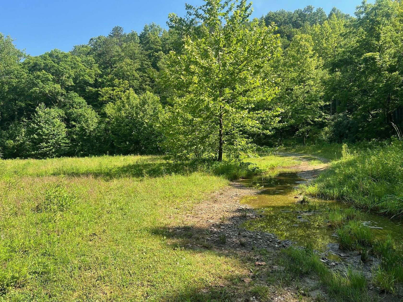 75 Acres of Recreational Land for Sale in Salyersville, Kentucky