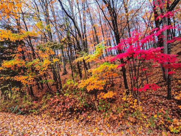 3 Acres of Residential Land for Sale in Ellijay, Georgia