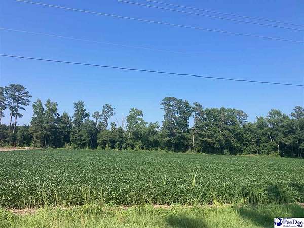 1 Acre of Residential Land for Sale in Dillon, South Carolina