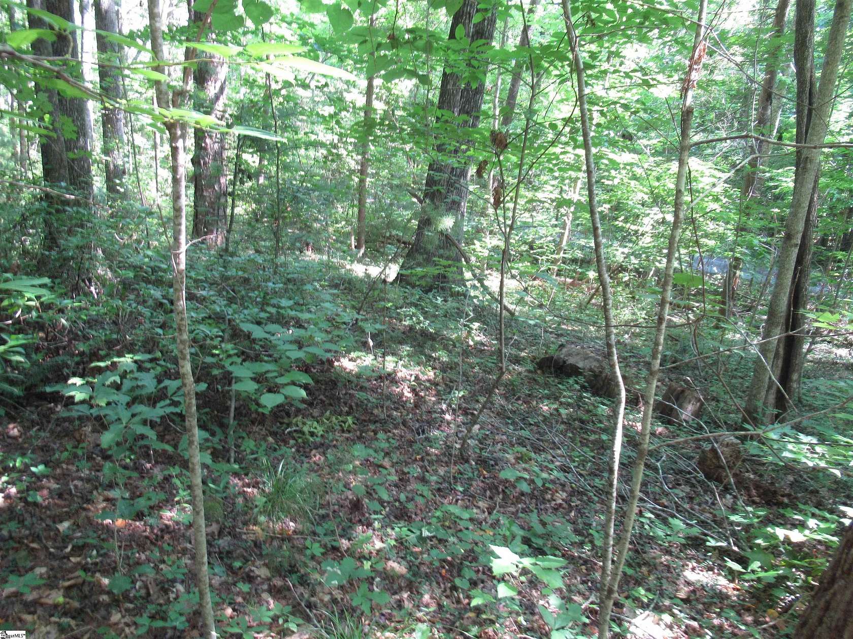 0.61 Acres of Residential Land for Sale in Pickens, South Carolina