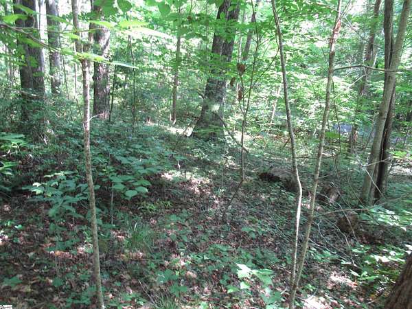 0.61 Acres of Land for Sale in Pickens, South Carolina