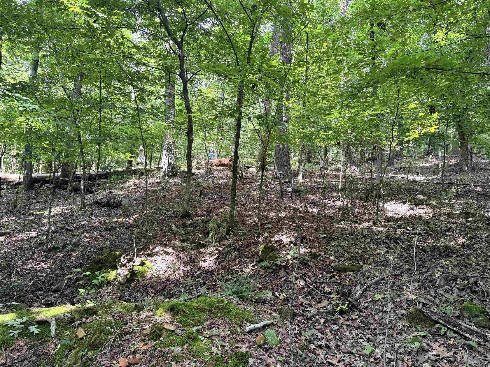 0.29 Acres of Land for Sale in Hot Springs Village, Arkansas