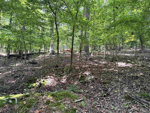 0.29 Acres of Land for Sale in Hot Springs Village, Arkansas
