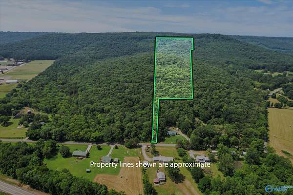 45 Acres of Land for Sale in Somerville, Alabama