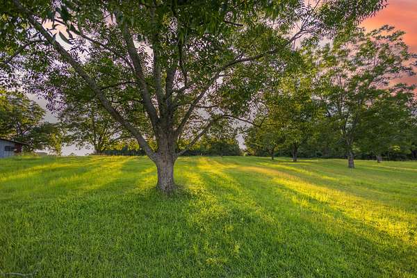32 Acres of Recreational Land & Farm for Sale in Red Level, Alabama