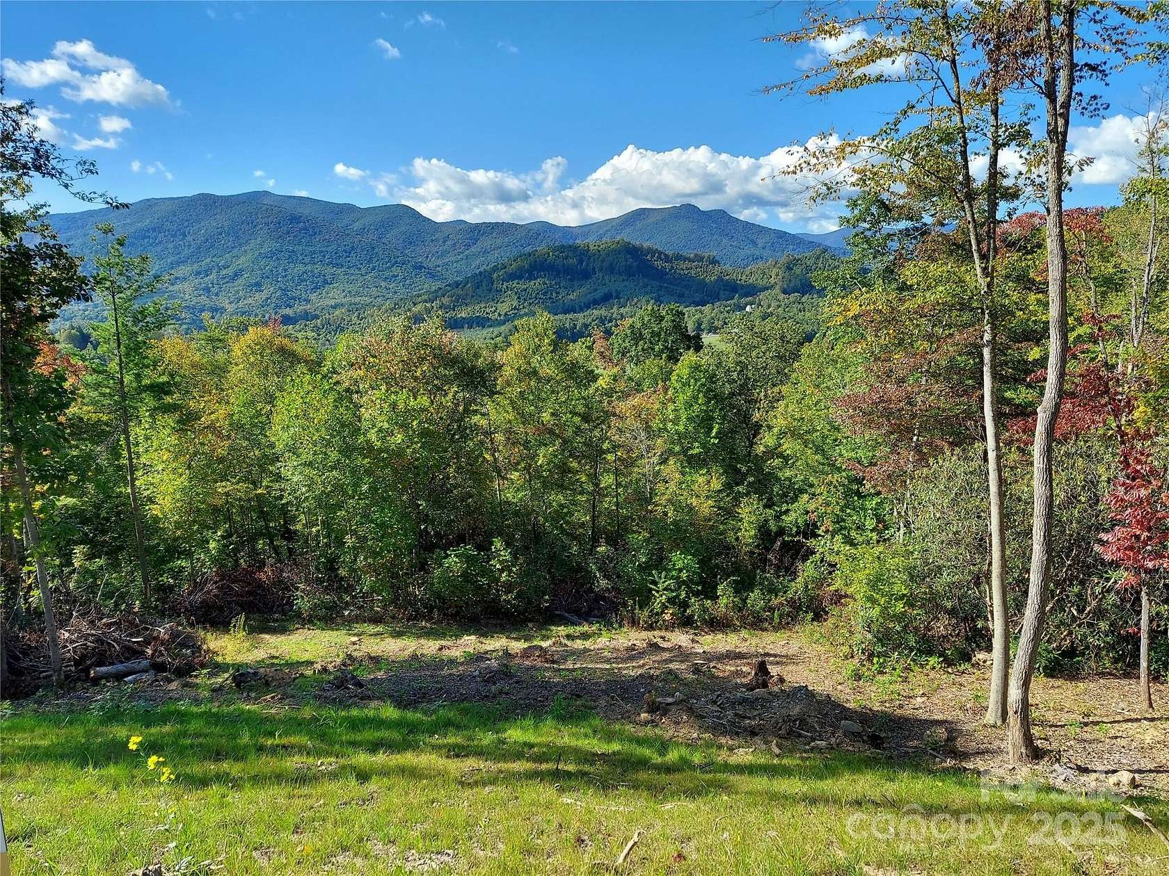 1 Acre of Residential Land for Sale in Spruce Pine, North Carolina