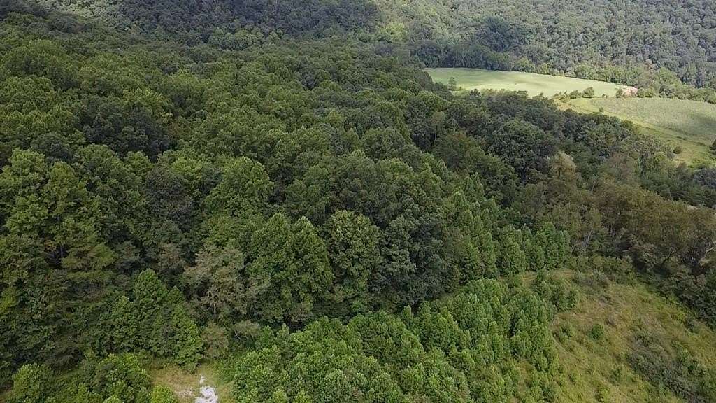 Residential Land for Sale in Rich Creek, Virginia