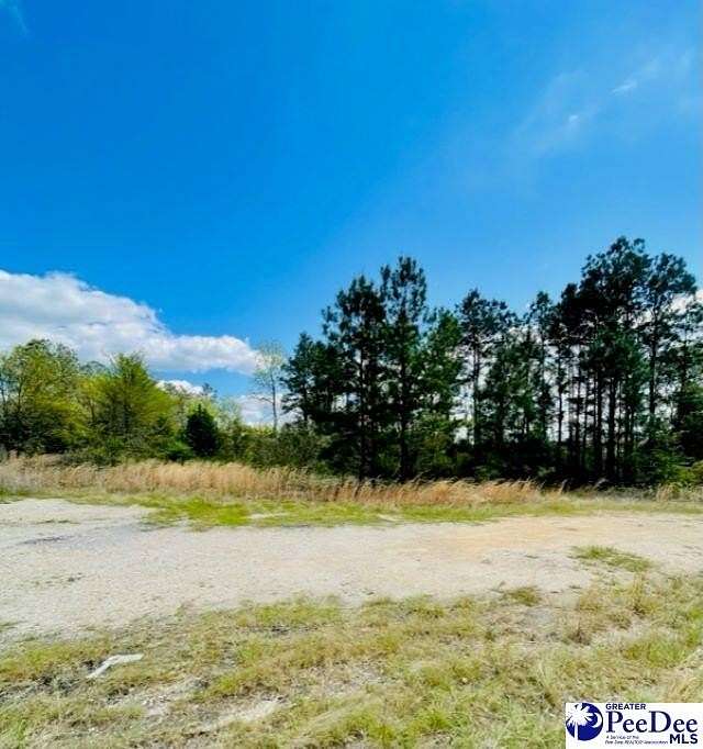 4.69 Acres of Mixed-Use Land for Sale in Cheraw, South Carolina