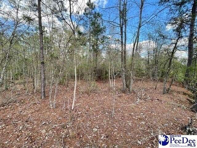 4.69 Acres of Mixed-Use Land for Sale in Cheraw, South Carolina