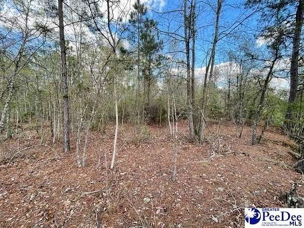 4.69 Acres of Mixed-Use Land for Sale in Cheraw, South Carolina