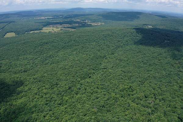 43.5 Acres of Land for Sale in Ironton, Missouri