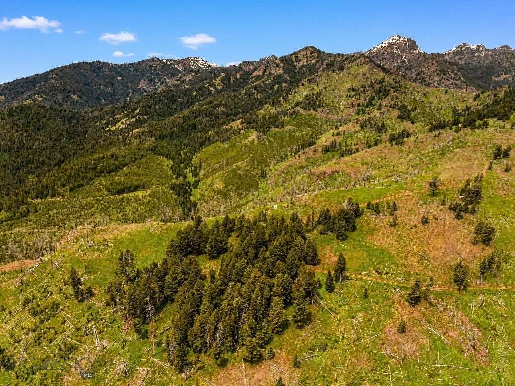 20.1 Acres of Recreational Land for Sale in Livingston, Montana
