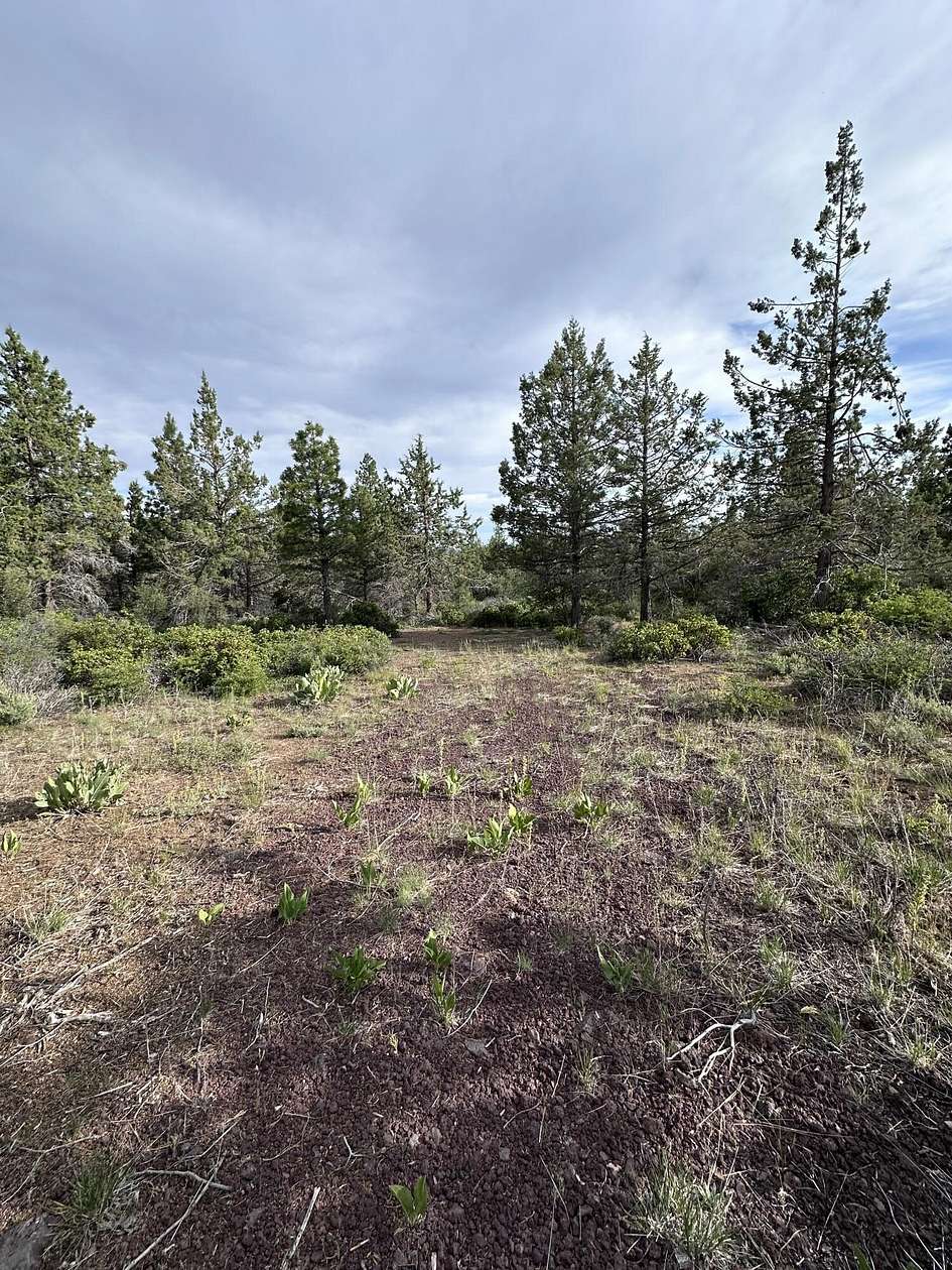 2.3 Acres of Residential Land for Sale in Bonanza, Oregon
