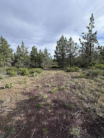 2.3 Acres of Residential Land for Sale in Bonanza, Oregon