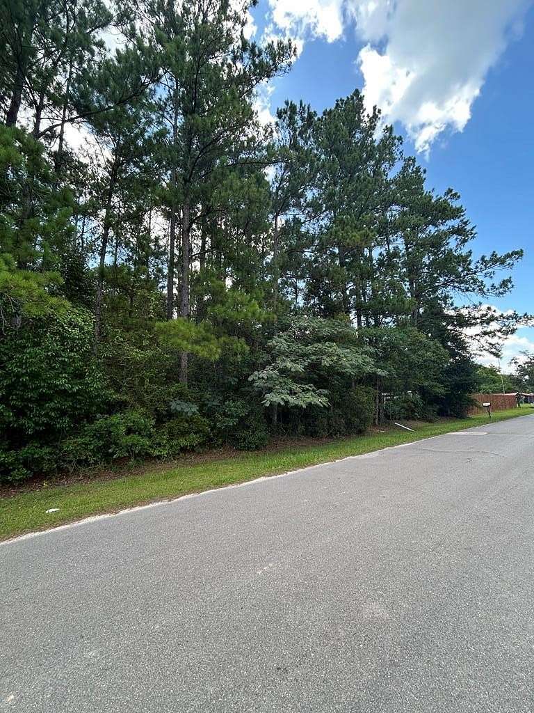 0.28 Acres of Residential Land for Sale in Wewahitchka, Florida