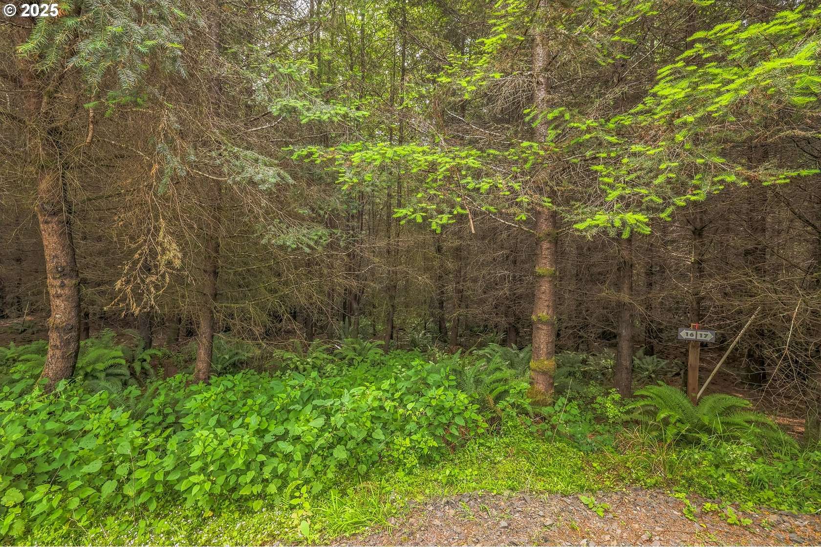 7.13 Acres of Land for Sale in Toutle, Washington