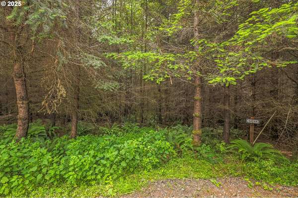 7.13 Acres of Land for Sale in Toutle, Washington