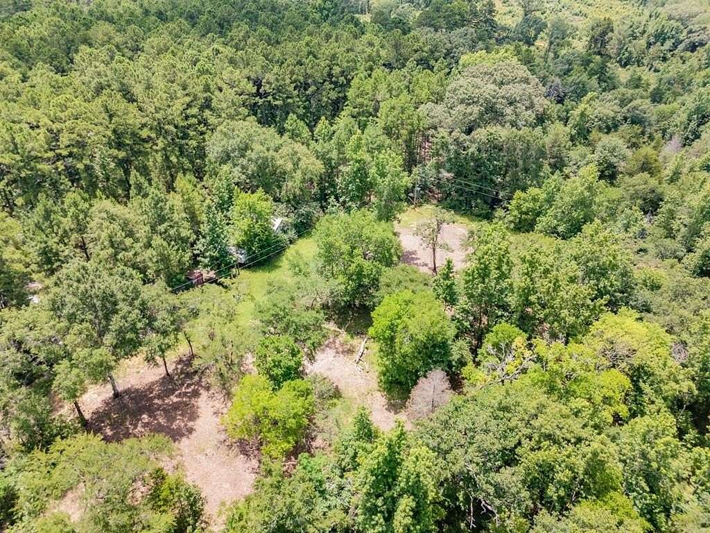 53.4 Acres of Recreational Land for Sale in Palestine, Texas