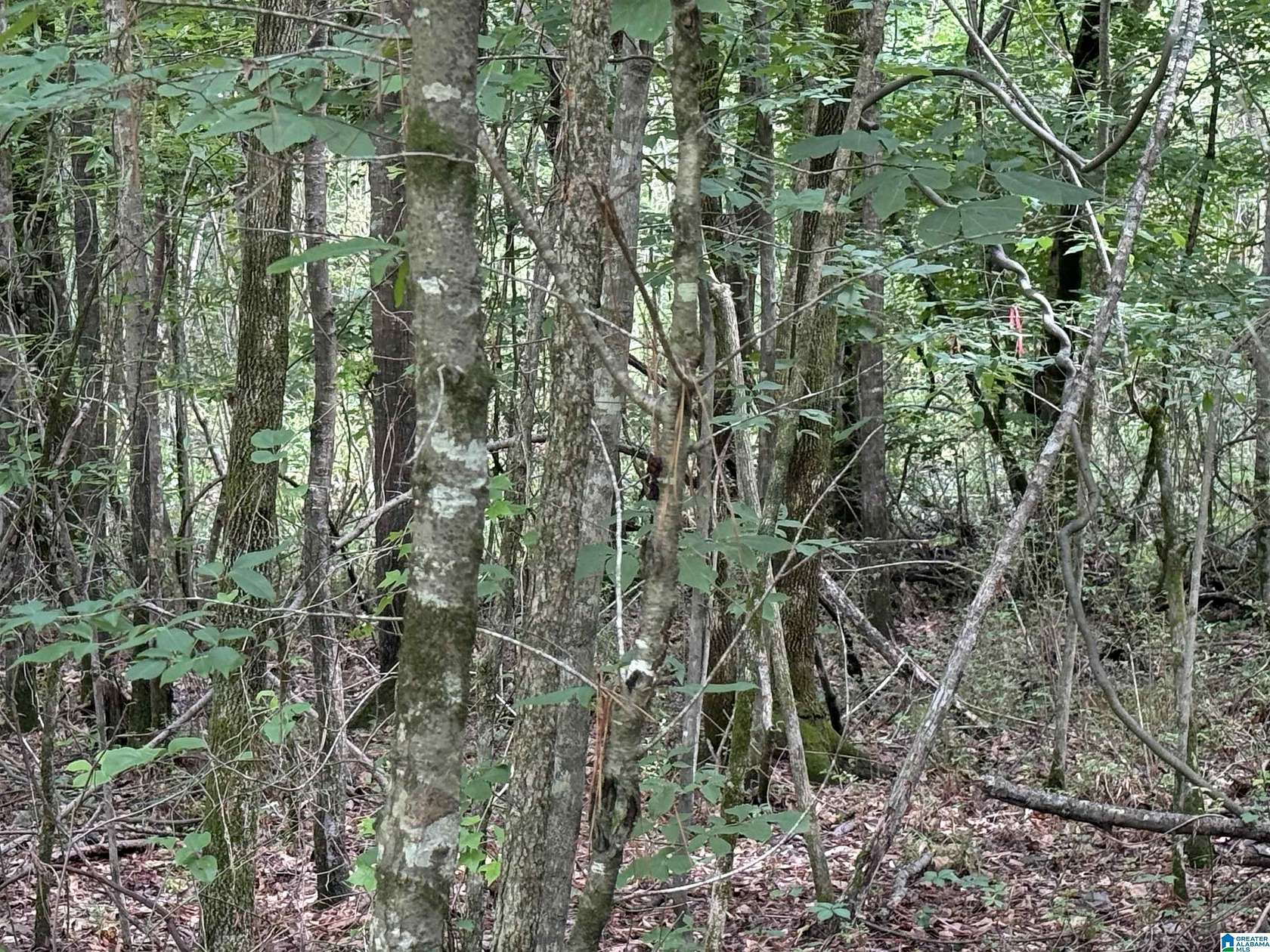 9.4 Acres of Residential Land for Sale in Hokes Bluff, Alabama