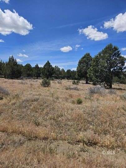 1.73 Acres of Land for Sale in Alturas, California
