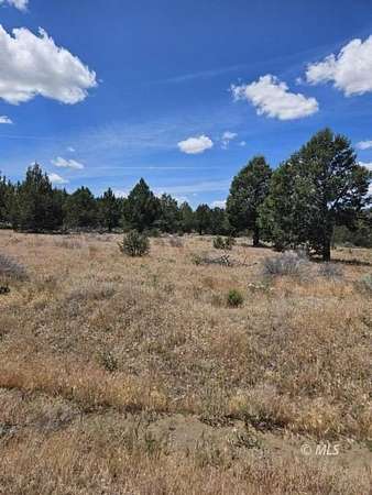 1.73 Acres of Land for Sale in Alturas, California