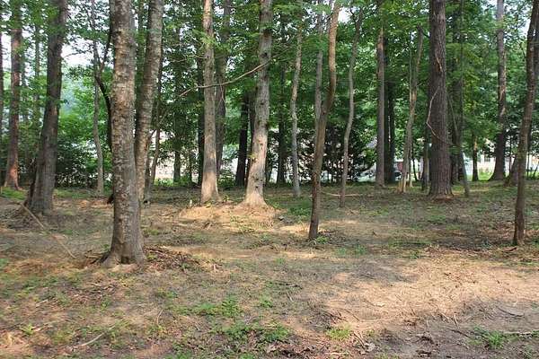 0.22 Acres of Residential Land for Sale in Greenbackville, Virginia