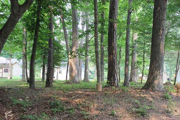 0.22 Acres of Residential Land for Sale in Greenbackville, Virginia