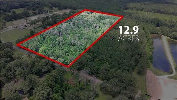 13 Acres of Land for Sale in Deville, Louisiana