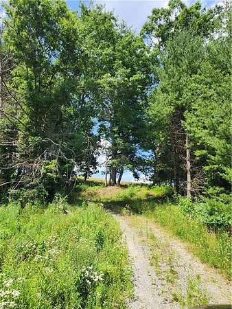 2 Acres of Residential Land for Sale in Sparta, North Carolina